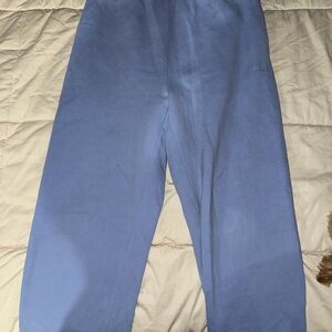 Aritzia Blue Track Pants